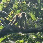 Photo taken by Lee B