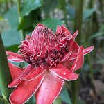 Photo taken by Erica A