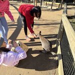 Photo taken by Doug S