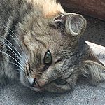 Photo taken by Allyson A