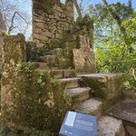 Photo taken by Tracy A