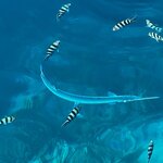 Photo taken by Judith D