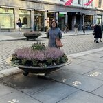 Photo taken by Pratima S