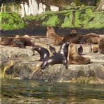 Photo taken by Stefani C