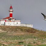 Photo taken by William F