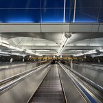 Photo taken by Lisa P