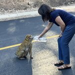 Photo taken by Martin L