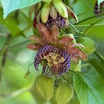 Photo taken by Skye C