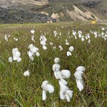 Photo taken by Jia Yi L