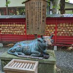 Photo taken by Jim B