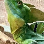 Photo taken by Mary D