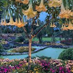 Photo taken by Shauna T