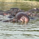 Photo taken by Michael L