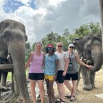 Photo taken by Suzanne W