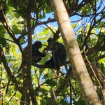 Photo taken by Sabiha K