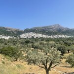 Photo taken by Angela R