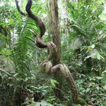 Hiking | Photo taken by Wendy D