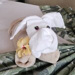 Photo taken by Mark S