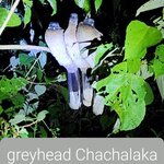 Photo taken by Ram R