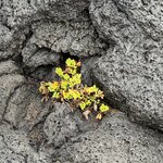 Photo taken by Catherine H