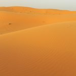 null | Photo taken by Wayne P