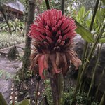 Photo taken by Alexia M