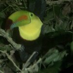 Photo taken by ted m