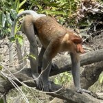 Photo taken by Edit M