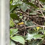 Photo taken by Natasha J