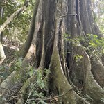 Photo taken by Kristen L