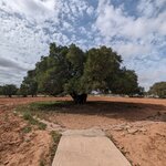 Photo taken by Charis U