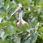 Photo taken by Graeme W