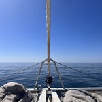 Photo taken by Michael M