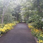 Photo taken by Denise H