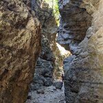 Photo taken by Lana P