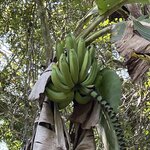 Photo taken by Kate R