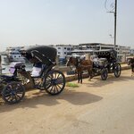 Photo taken by Kim M