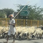 Photo taken by Jacki W