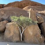 Photo taken by Michael G