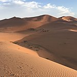 Photo taken by Thomas C