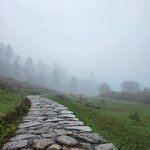 Photo taken by Sevi Y