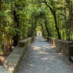 Photo taken by Troy J