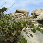 Photo taken by Kevin S