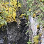 Photo taken by Virender V