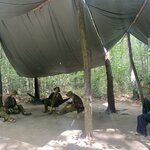 Photo taken by Jacqui O