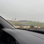 Photo taken by Meg K