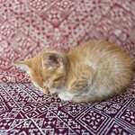 Photo taken by Mike K