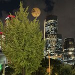 Photo taken by Anne-Marie C