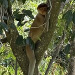 Photo taken by Edit M