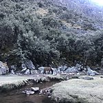 Frosty morning  | Photo taken by Kristin T